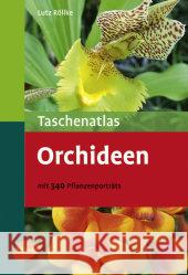 Taschenatlas Orchideen : Mit 340 Pflanzenporträts Röllke, Lutz   9783800156696