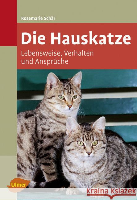 Die Hauskatze : Lebensweise, Verhalten und Ansprüche Schär, Rosemarie   9783800158676 Ulmer (Eugen)