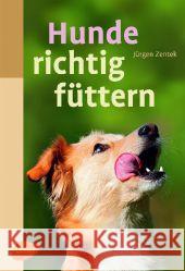 Hunde richtig füttern Zentek, Jürgen 9783800159604 Ulmer (Eugen)