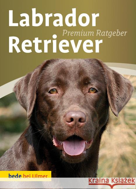 Labrador Retriever Schmitt, Annette Hudelmaier, Carola  9783800167302 Ulmer (Eugen)