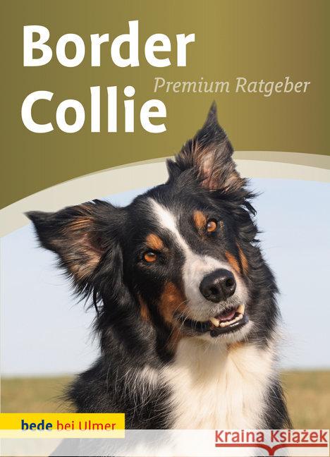 Border Collie Schmitt, Annette   9783800167319 Ulmer (Eugen)