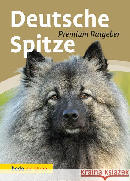 Deutsche Spitze : Wolfs-, Groß-, Mittel-, Klein-, Zwergspitz Schmitt, Annette; Hooper, Cinnamon L. 9783800167364 Ulmer (Eugen)