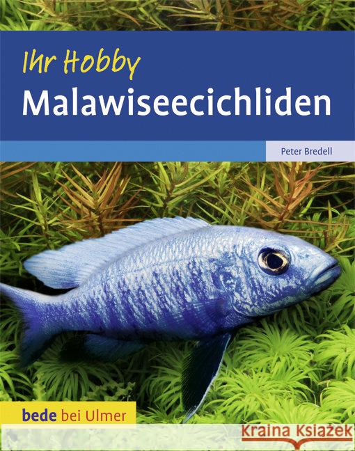 Malawiseecichliden Bredell, Peter   9783800167531 Ulmer (Eugen)