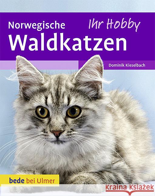 Norwegische Waldkatzen Kieselbach, Dominik   9783800167623 Ulmer (Eugen)