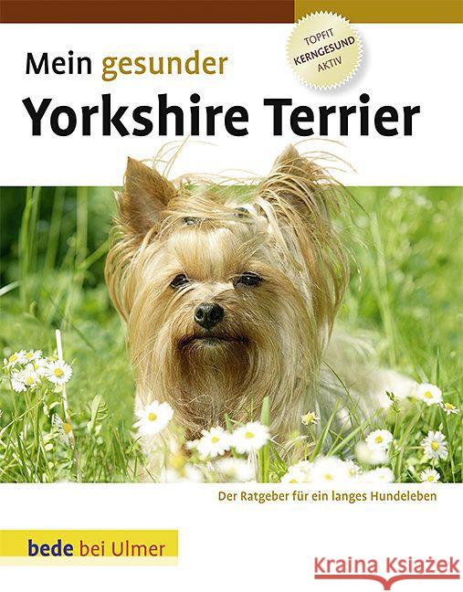 Mein gesunder Yorkshire Terrier Ackerman, Lowell Schmidt, Jürgen Heigl, Marion 9783800167821 Bede