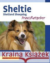 Sheltie : Shetland Sheepdog. Ein Ratgeber zur rassegerechten Haltung und Erziehung Schwartz, Charlotte   9783800167883 Ulmer (Eugen)
