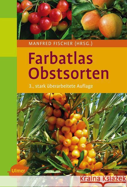 Farbatlas Obstsorten Fischer, Manfred   9783800169658 Ulmer (Eugen)