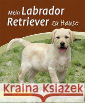 Mein Labrador Retriever zu Hause Harms, Maike   9783800169771 Ulmer (Eugen)