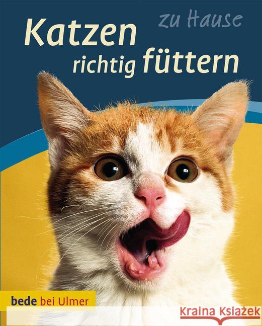 Katzen richtig füttern : Gesund, lecker, appetitlich Laukner, Anna 9783800175475 Ulmer (Eugen)