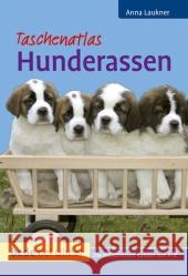 Taschenatlas Hunderassen : Die beliebtesten Rassen von A-Z Laukner, Anna   9783800175611 Ulmer (Eugen)