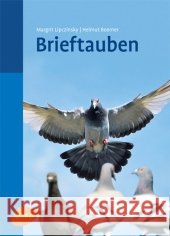 Brieftauben Lipczinsky, Margrit; Boerner, Helmut 9783800175710