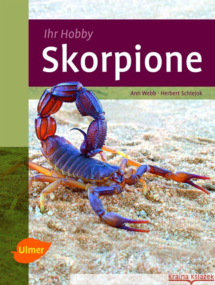 Skorpione Webb, Ann; Schiejok, Herbert 9783800176489 Ulmer (Eugen)