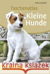 Taschenatlas Kleine Hunde : Die beliebtesten Rassen von A - Z Laukner, Anna 9783800176557 Ulmer (Eugen)