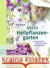 Mein Heilpflanzengarten : Gesunde Kräuter pflanzen, ernten und anwenden Beiser, Rudi 9783800176625 Ulmer (Eugen)