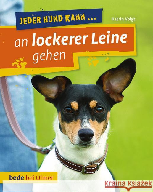 Jeder Hund kann ... an lockerer Leine gehen : Leinenführung leicht gemacht Voigt, Katrin 9783800177516 Bede