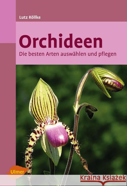 Orchideen : Die besten Arten auswählen und pflegen Röllke, Lutz 9783800178360