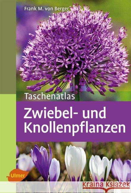 Taschenatlas Zwiebel- und Knollenpflanzen Berger, Frank M. von 9783800180653 Ulmer (Eugen)