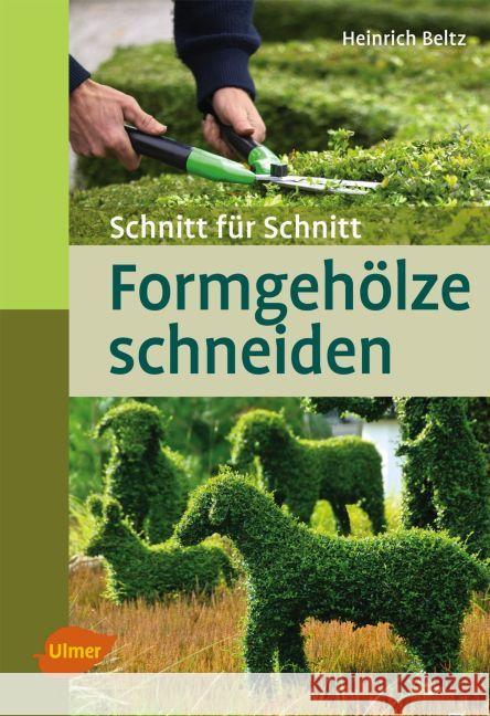 Formgehölze schneiden : Schnitt für Schnitt Beltz, Heinrich 9783800182688