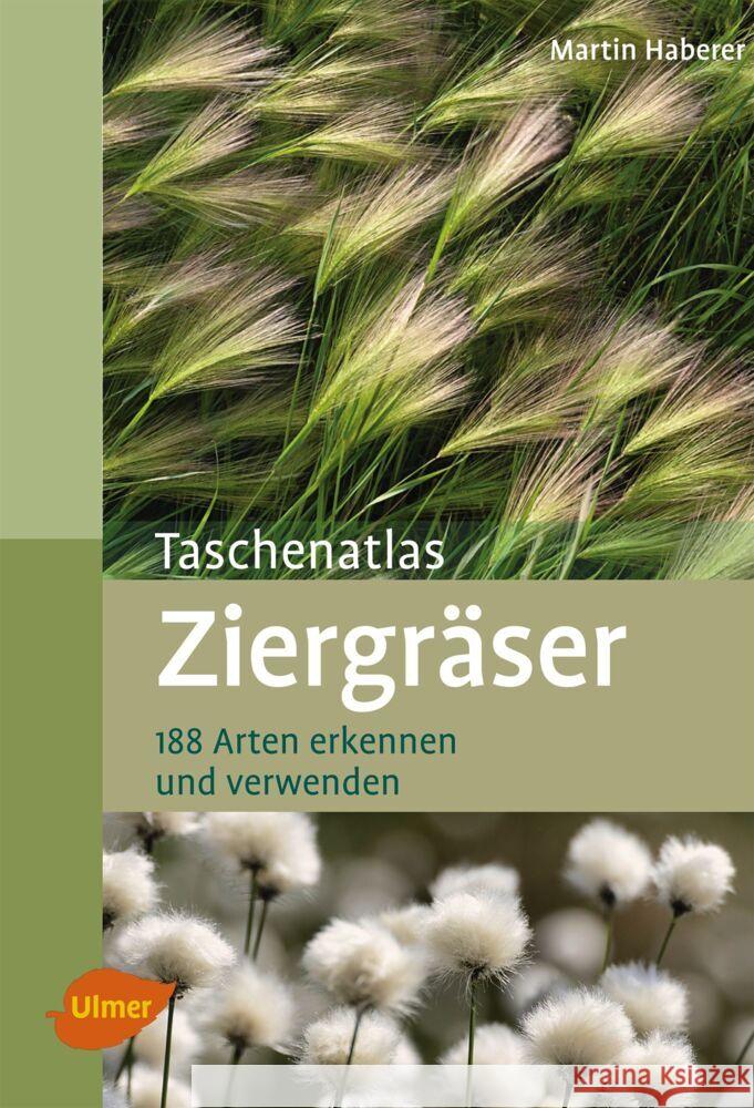 Taschenatlas Ziergräser : 188 Arten erkennen und verwenden Haberer, Martin 9783800182718 Ulmer (Eugen)