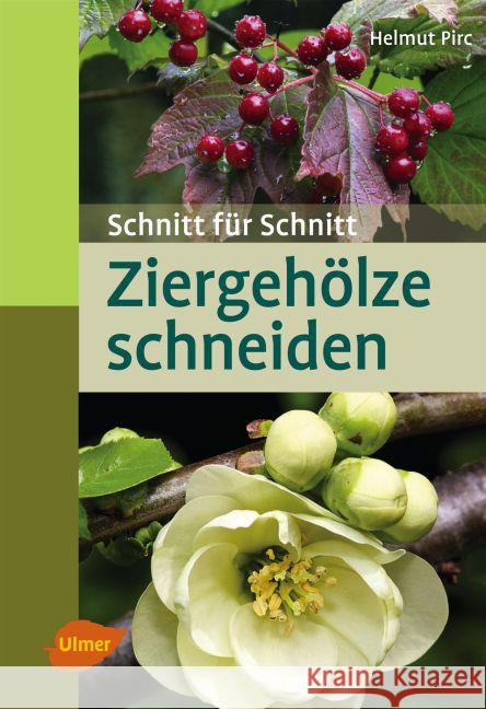 Ziergehölze schneiden : Schnitt für Schnitt Pirc, Helmut 9783800183814 Verlag Eugen Ulmer