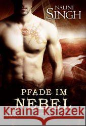 Pfade im Nebel Singh, Nalini 9783802589072 Egmont Lyx