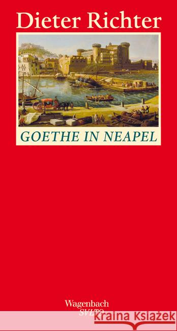 Goethe in Neapel Richter, Dieter 9783803112859