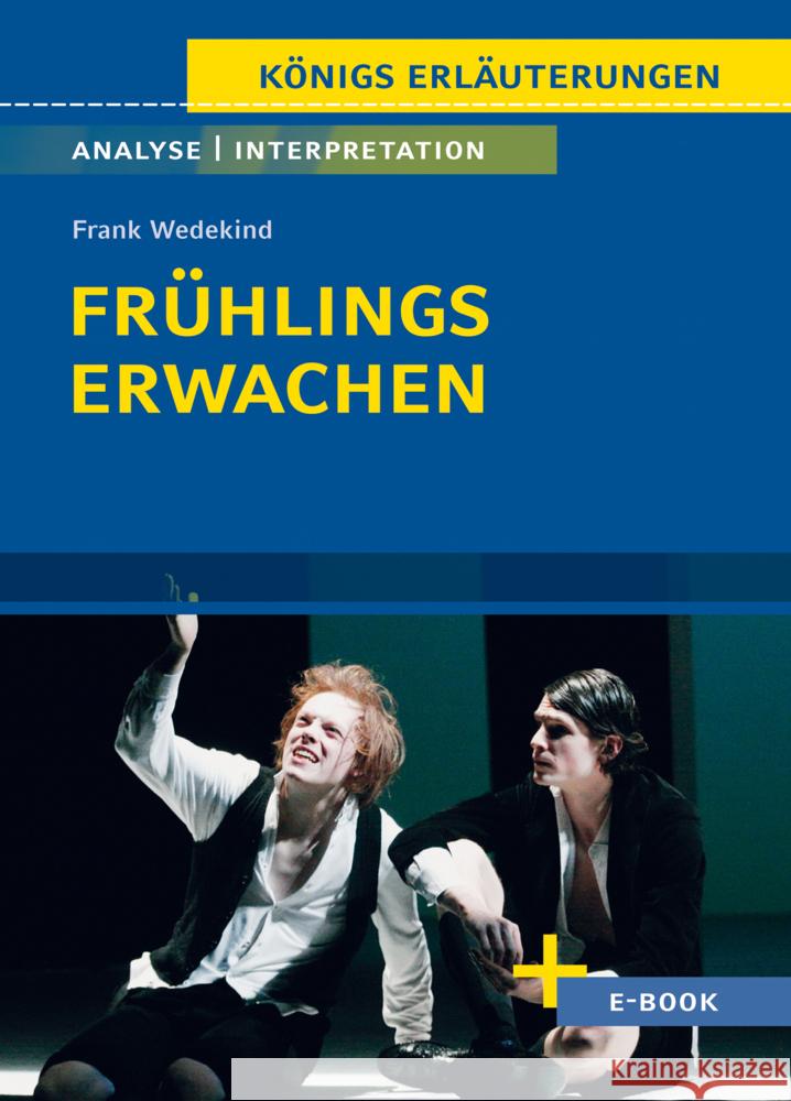 Frühlings Erwachen von Frank Wedekind - Textanalyse und Interpretation Wedekind, Frank 9783804420809 Bange