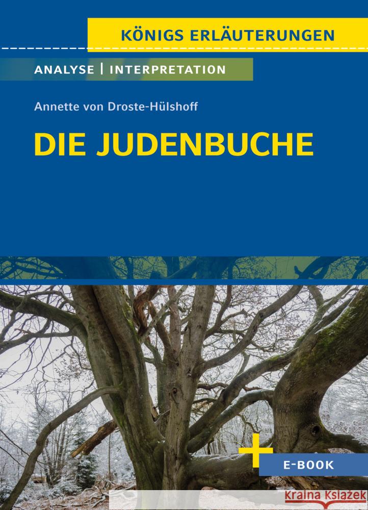 Die Judenbuche von Annette von Droste-Hülshoff - Textanalyse und Interpretation Droste-Hülshoff, Annette von 9783804421011