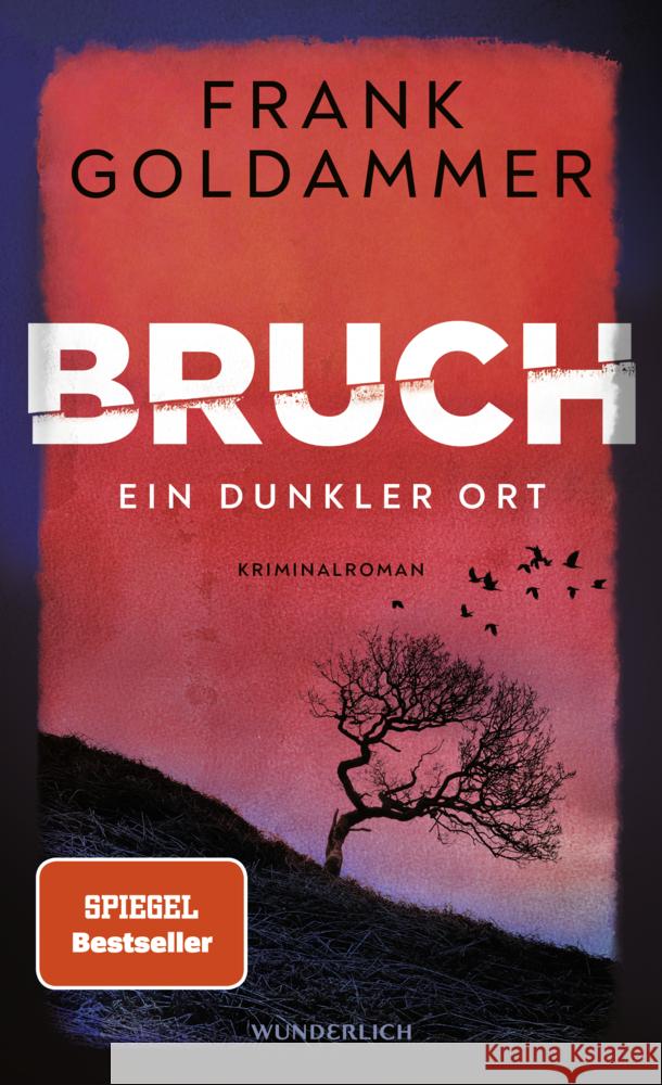 Bruch Goldammer, Frank 9783805200905 Wunderlich