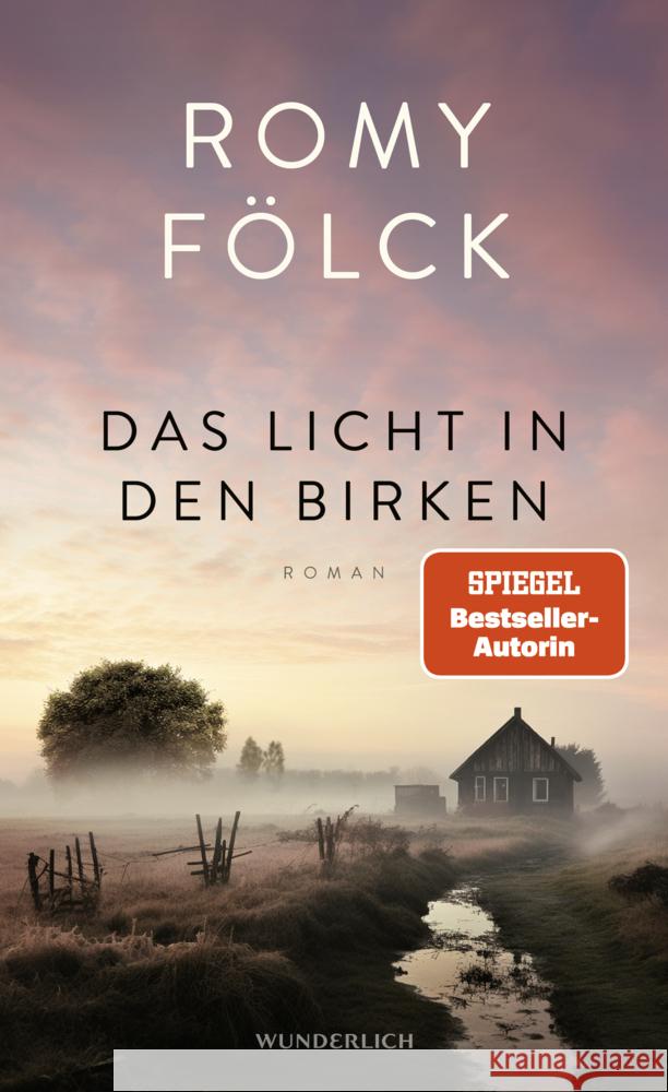 Das Licht in den Birken Fölck, Romy 9783805201117