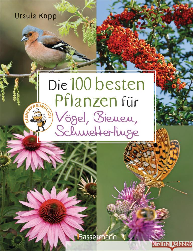 Die 100 besten Pflanzen für Vögel, Bienen, Schmetterlinge Kopp, Ursula 9783809445036 Bassermann