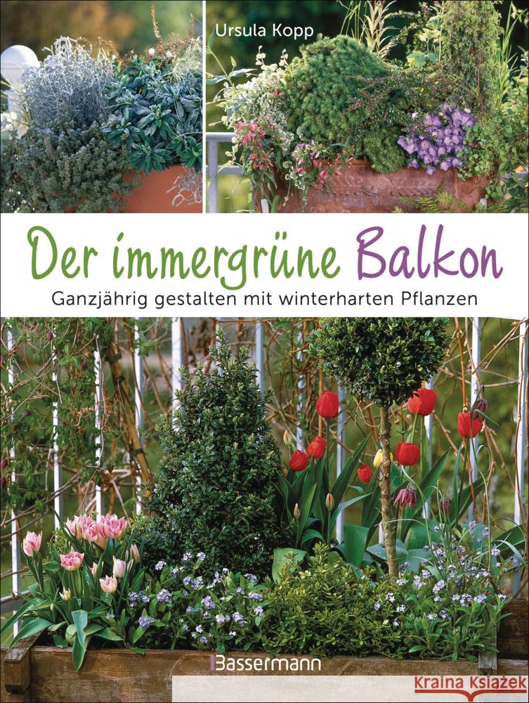 Der immergrüne Balkon. Ganzjährig gestalten mit winterharten Pflanzen Kopp, Ursula 9783809449614 Bassermann