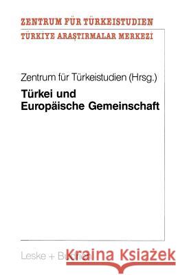 Türkei Und Europäische Gemeinschaft: Eine Untersuchung Zu Positiven Aspekten Eines Potentiellen Eg-Beitritts Der Türkei Für Die Europäische Gemeinscha Zentrum Für Türkeistudien 9783810010643 Springer