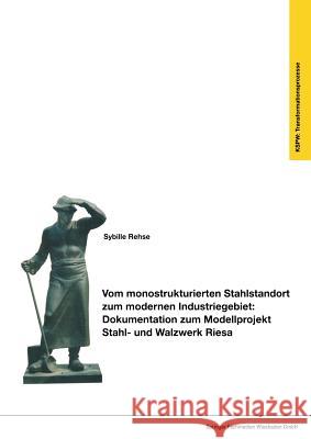 Vom Monostrukturierten Stahlstandort Zum Modernen Industriegebiet: Dokumentation Zum Modellprojekt Stahl- Und Walzwerk Riesa Sybille Rehse 9783810016317 Vs Verlag Fur Sozialwissenschaften