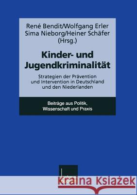 Kinder- Und Jugendkriminalität: Strategien Der Prävention Und Intervention in Deutschland Und Den Niederlanden Erler, Wolfgang 9783810023827 Vs Verlag Fur Sozialwissenschaften