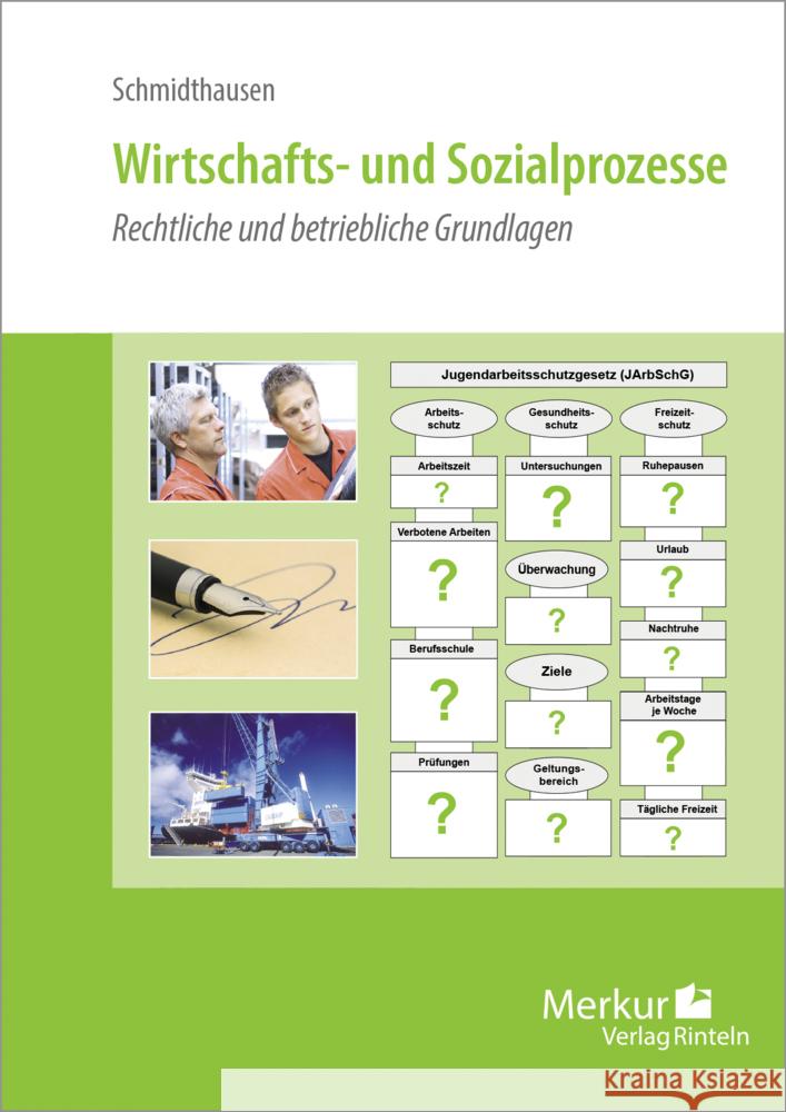 Wirtschafts- und Sozialprozesse Schmidthausen, Michael 9783812010856 Merkur