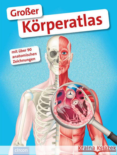 Großer Körperatlas : Mit über 90 anatomischen Zeichnungen Zysk, Stefanie 9783817496495 Compact