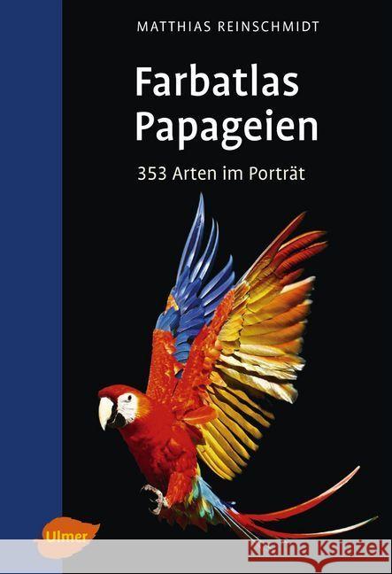 Farbatlas Papageien : 353 Arten im Porträt Reinschmidt, Matthias 9783818600952