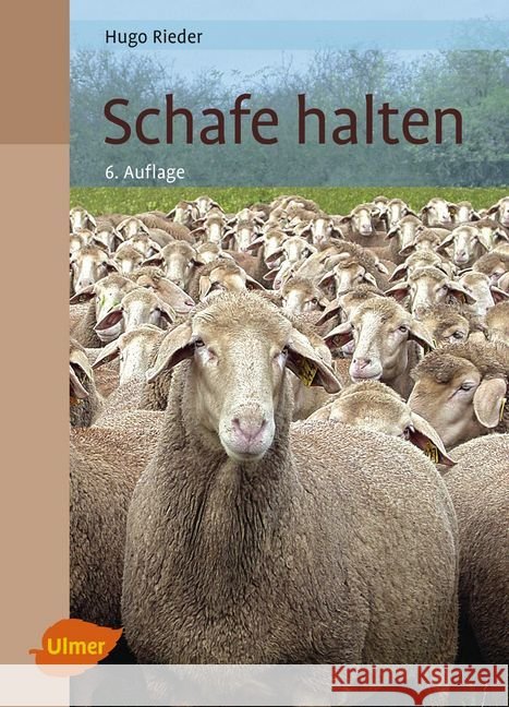 Schafe halten Rieder, Hugo 9783818601270