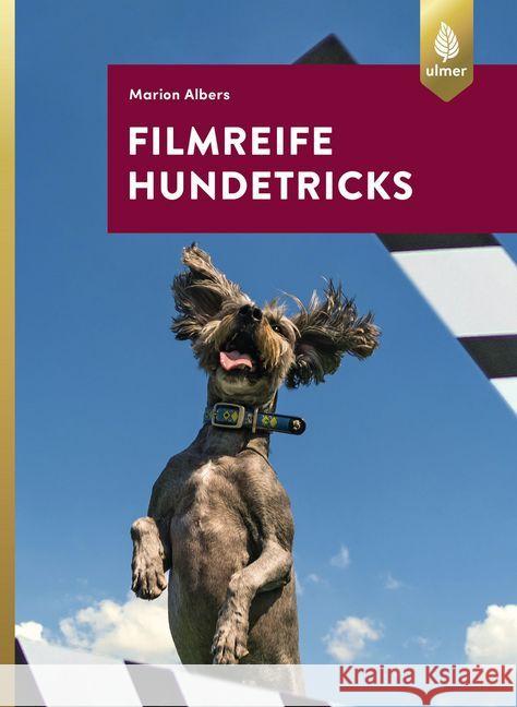 Filmreife Hundetricks : Tricktraining - nicht nur für angehende Filmhunde Albers, Marion 9783818603434 Verlag Eugen Ulmer