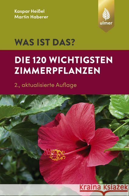 Was ist das? Die 120 wichtigsten Zimmerpflanzen : Zimmerpflanzen spielend leicht erkennen Heißel, Kaspar; Haberer, Martin 9783818603489 Verlag Eugen Ulmer