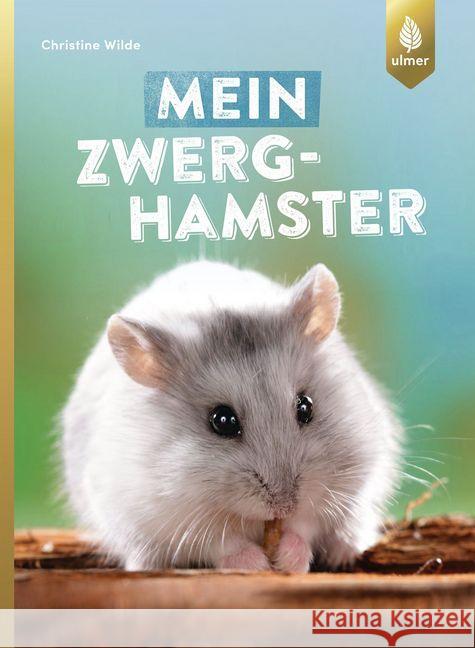 Mein Zwerghamster Wilde, Christine 9783818603557 Verlag Eugen Ulmer