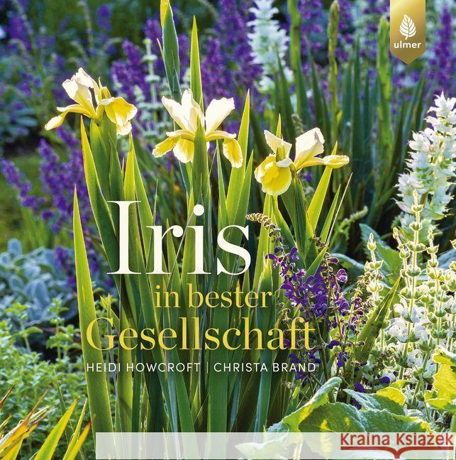 Iris in bester Gesellschaft : Inspirierende Ideen für die Verwendung von Schwertlilien im Garten Howcroft, Heidi; Brand, Christa 9783818603984