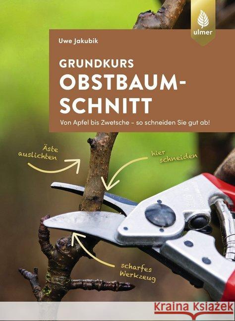 Grundkurs Obstbaumschnitt : Von Apfel bis Zwetsche - so schneiden Sie gut ab Jakubik, Uwe 9783818607012 Verlag Eugen Ulmer