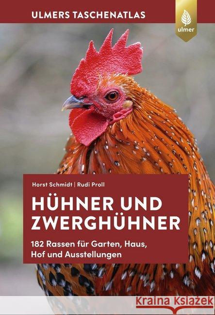 Hühner und Zwerghühner : 182 Rassen für Garten, Haus, Hof und Ausstellung Schmidt, Horst; Proll, Rudi 9783818607074