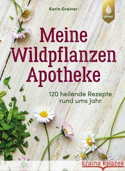 Meine Wildpflanzen-Apotheke : 120 heilende Rezepte rund ums Jahr Greiner, Karin 9783818609658 Verlag Eugen Ulmer