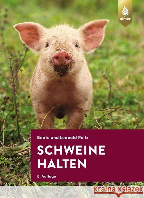 Schweine halten Peitz, Leopold; Peitz, Beate 9783818609726 Verlag Eugen Ulmer