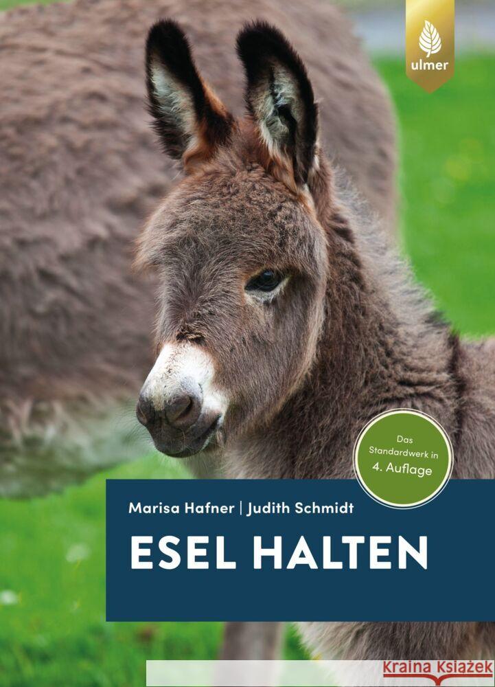 Esel halten Hafner, Marisa; Schmidt, Judith 9783818611484 Verlag Eugen Ulmer