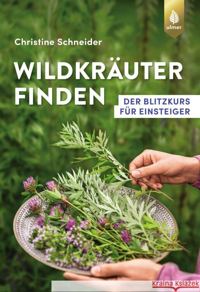 Wildkräuter finden Schneider, Christine 9783818612696