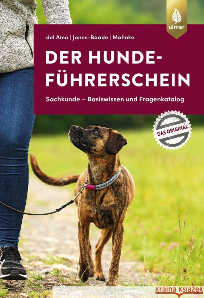 Der Hundeführerschein Del Amo, Celina, Jones-Baade, Dr. Renate, Mahnke, Karina 9783818615093 Verlag Eugen Ulmer